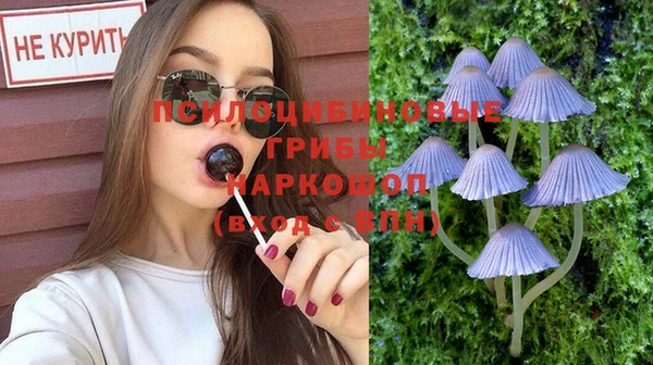 спиды Богданович